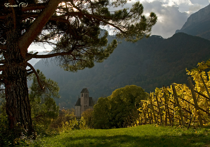 la piana di Caldaro